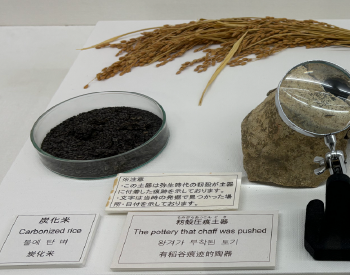 高床